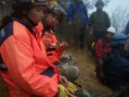 /album/fotogaleria/curso-braak-021-jpg/
